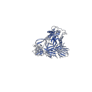 33550_7y0n_B_v1-0
SARS-CoV-2 WT Spike in complex with R15 Fab and P14 Nanobody
