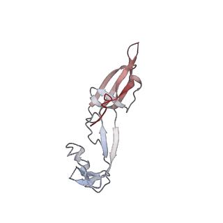 37991_8y0w_5_v1-0
dormant ribosome with eIF5A, eEF2 and SERBP1