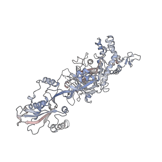 37991_8y0w_CB_v1-0
dormant ribosome with eIF5A, eEF2 and SERBP1