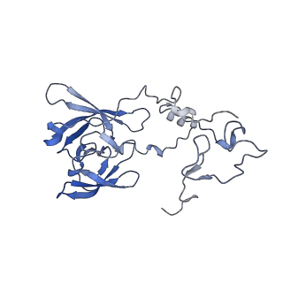 37991_8y0w_LA_v1-0
dormant ribosome with eIF5A, eEF2 and SERBP1