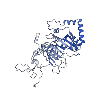 37991_8y0w_LB_v1-0
dormant ribosome with eIF5A, eEF2 and SERBP1