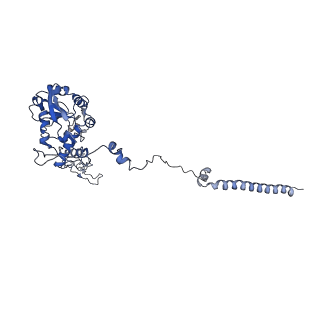 37991_8y0w_LC_v1-0
dormant ribosome with eIF5A, eEF2 and SERBP1