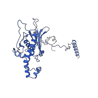 37991_8y0w_LD_v1-0
dormant ribosome with eIF5A, eEF2 and SERBP1