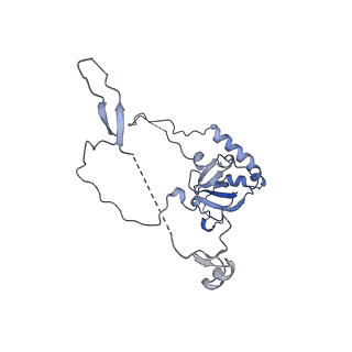 37991_8y0w_LE_v1-0
dormant ribosome with eIF5A, eEF2 and SERBP1