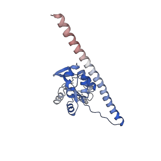 37991_8y0w_LF_v1-0
dormant ribosome with eIF5A, eEF2 and SERBP1