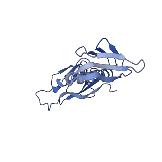 37991_8y0w_LH_v1-0
dormant ribosome with eIF5A, eEF2 and SERBP1