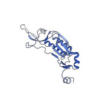 37991_8y0w_LI_v1-0
dormant ribosome with eIF5A, eEF2 and SERBP1