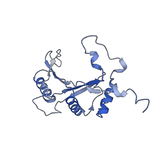 37991_8y0w_LJ_v1-0
dormant ribosome with eIF5A, eEF2 and SERBP1