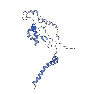 37991_8y0w_LL_v1-0
dormant ribosome with eIF5A, eEF2 and SERBP1
