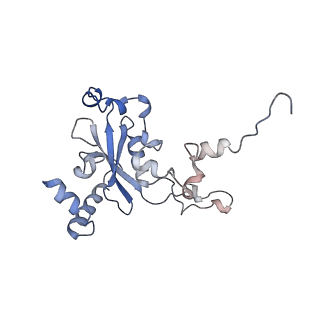 37991_8y0w_LN_v1-0
dormant ribosome with eIF5A, eEF2 and SERBP1