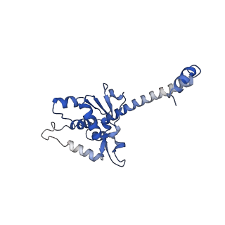 37991_8y0w_LO_v1-0
dormant ribosome with eIF5A, eEF2 and SERBP1