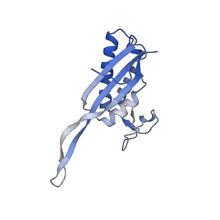 37991_8y0w_LP_v1-0
dormant ribosome with eIF5A, eEF2 and SERBP1