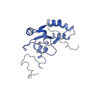 37991_8y0w_LQ_v1-0
dormant ribosome with eIF5A, eEF2 and SERBP1