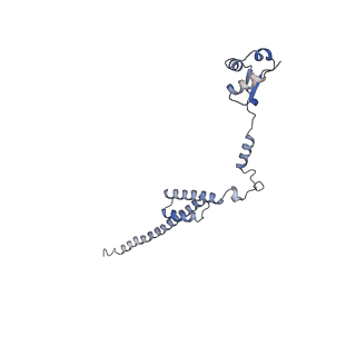 37991_8y0w_LR_v1-0
dormant ribosome with eIF5A, eEF2 and SERBP1