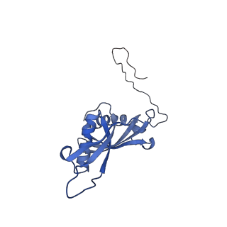 37991_8y0w_LS_v1-0
dormant ribosome with eIF5A, eEF2 and SERBP1
