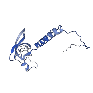 37991_8y0w_LT_v1-0
dormant ribosome with eIF5A, eEF2 and SERBP1