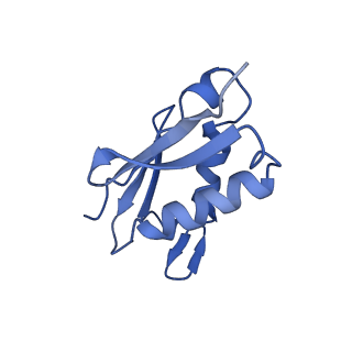 37991_8y0w_LU_v1-0
dormant ribosome with eIF5A, eEF2 and SERBP1