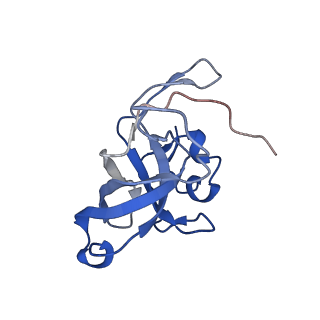 37991_8y0w_LV_v1-0
dormant ribosome with eIF5A, eEF2 and SERBP1