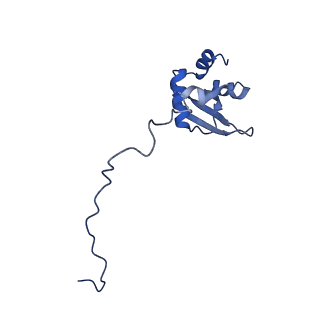 37991_8y0w_LX_v1-0
dormant ribosome with eIF5A, eEF2 and SERBP1