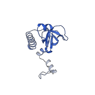 37991_8y0w_LY_v1-0
dormant ribosome with eIF5A, eEF2 and SERBP1