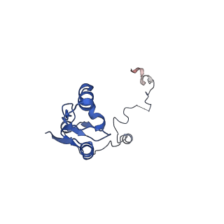 37991_8y0w_La_v1-0
dormant ribosome with eIF5A, eEF2 and SERBP1