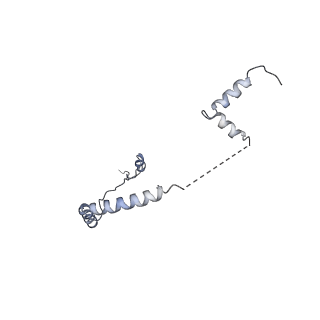 37991_8y0w_Lb_v1-0
dormant ribosome with eIF5A, eEF2 and SERBP1