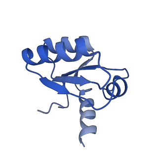 37991_8y0w_Lc_v1-0
dormant ribosome with eIF5A, eEF2 and SERBP1