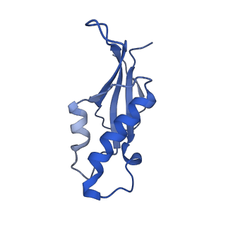 37991_8y0w_Ld_v1-0
dormant ribosome with eIF5A, eEF2 and SERBP1