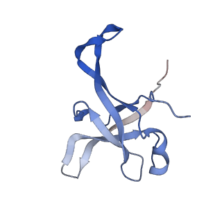 37991_8y0w_Lf_v1-0
dormant ribosome with eIF5A, eEF2 and SERBP1