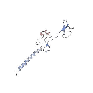 37991_8y0w_Lg_v1-0
dormant ribosome with eIF5A, eEF2 and SERBP1