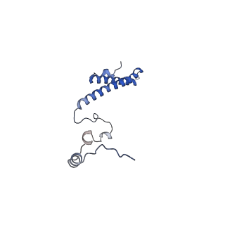 37991_8y0w_Lh_v1-0
dormant ribosome with eIF5A, eEF2 and SERBP1