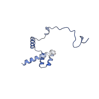 37991_8y0w_Li_v1-0
dormant ribosome with eIF5A, eEF2 and SERBP1