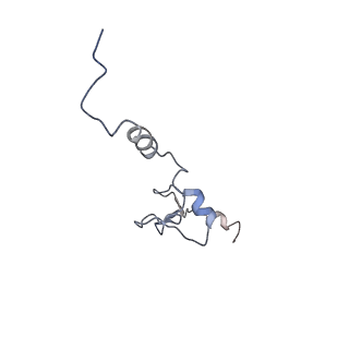 37991_8y0w_Lj_v1-0
dormant ribosome with eIF5A, eEF2 and SERBP1