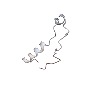 37991_8y0w_Ll_v1-0
dormant ribosome with eIF5A, eEF2 and SERBP1