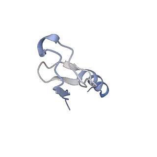 37991_8y0w_Lm_v1-0
dormant ribosome with eIF5A, eEF2 and SERBP1