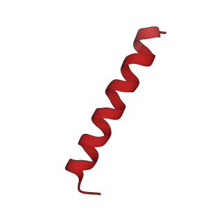 37991_8y0w_Ln_v1-0
dormant ribosome with eIF5A, eEF2 and SERBP1