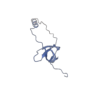 37991_8y0w_Lo_v1-0
dormant ribosome with eIF5A, eEF2 and SERBP1