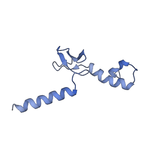 37991_8y0w_Lp_v1-0
dormant ribosome with eIF5A, eEF2 and SERBP1