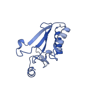 37991_8y0w_Lr_v1-0
dormant ribosome with eIF5A, eEF2 and SERBP1