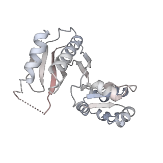 37991_8y0w_Lz_v1-0
dormant ribosome with eIF5A, eEF2 and SERBP1