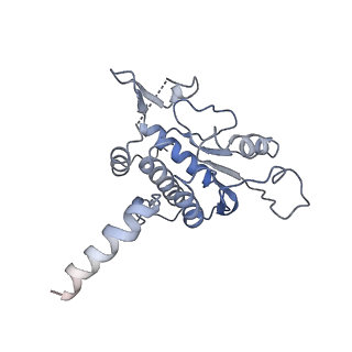 37991_8y0w_SA_v1-0
dormant ribosome with eIF5A, eEF2 and SERBP1