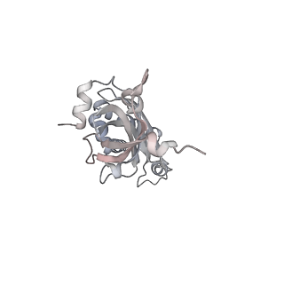 37991_8y0w_SB_v1-0
dormant ribosome with eIF5A, eEF2 and SERBP1