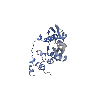 37991_8y0w_SC_v1-0
dormant ribosome with eIF5A, eEF2 and SERBP1