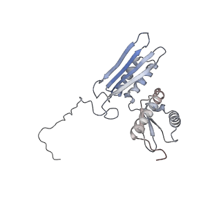 37991_8y0w_SD_v1-0
dormant ribosome with eIF5A, eEF2 and SERBP1