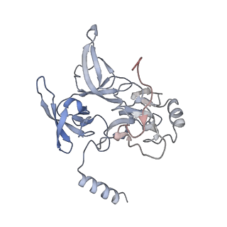 37991_8y0w_SE_v1-0
dormant ribosome with eIF5A, eEF2 and SERBP1