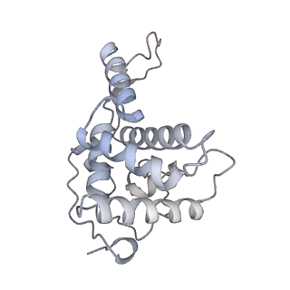 37991_8y0w_SF_v1-0
dormant ribosome with eIF5A, eEF2 and SERBP1