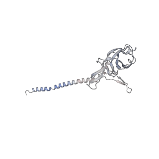 37991_8y0w_SG_v1-0
dormant ribosome with eIF5A, eEF2 and SERBP1