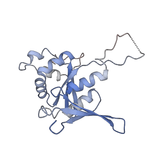 37991_8y0w_SH_v1-0
dormant ribosome with eIF5A, eEF2 and SERBP1