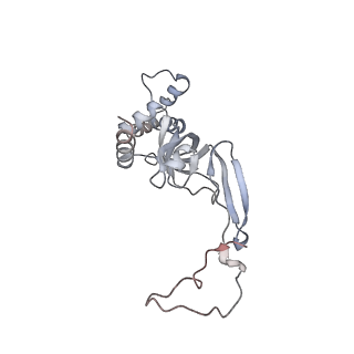 37991_8y0w_SI_v1-0
dormant ribosome with eIF5A, eEF2 and SERBP1