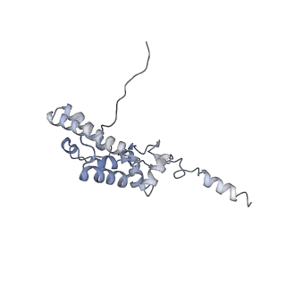 37991_8y0w_SJ_v1-0
dormant ribosome with eIF5A, eEF2 and SERBP1